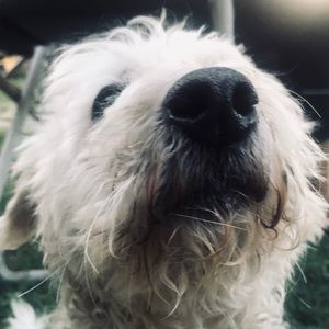 Meet your Posher, Jess